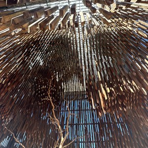 Tree of Knowledge