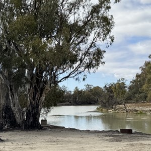 Campsite 20 Chowilla Game Reserve