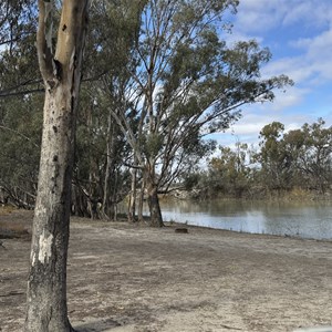 Campsite 18 Chowilla Game Reserve