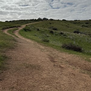 Mannum Falls Upper Carpark