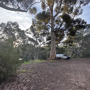 Bowman Park RV Stop