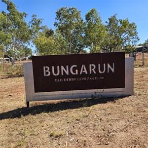 Bungarun
