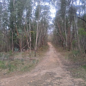 Tinjella trail