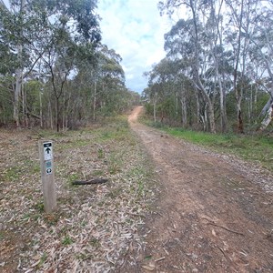 Tinjella trail