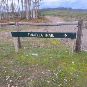 Tinjella trail