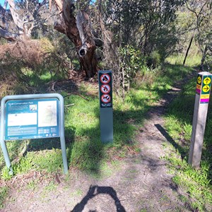 Scott conservation park