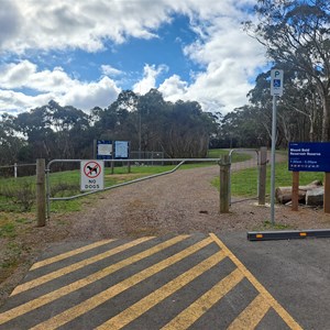 Mount Bold Reservoir Reserve
