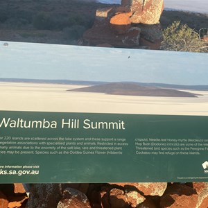 Waltumba Hill Summit