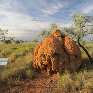 Mound on the Termite Trail