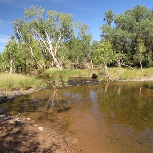 Adcock river just 3 km from camp