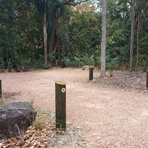 Alligator Creek Camp Ground