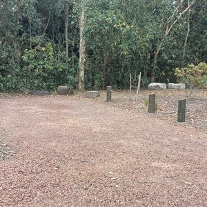 Alligator Creek Camp Ground