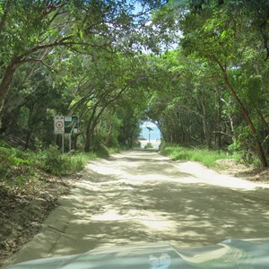 Hardpacked in the tree tunnel