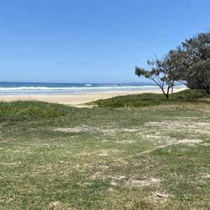 Teewah Beach Camping - Zone 7 North