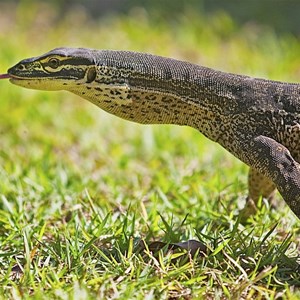 Freshwater Day-Use Area