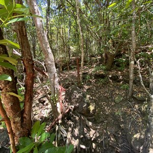 Old well and windmill
