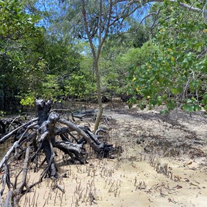 Old well and windmill