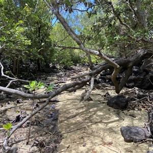 Old well and windmill
