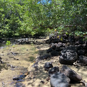 Old well and windmill