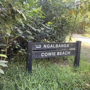 Cowrie Beach access