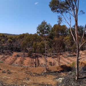 Old Coach Rd - Site 3