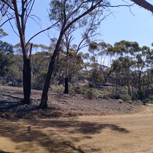 Old Coach Rd - Site - 4