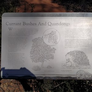 Old Coach Rd - Site 8