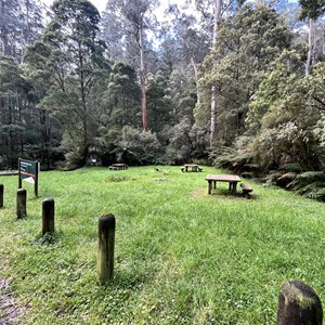 Grey River Picnic Area