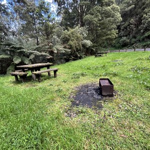 Grey River Picnic Area