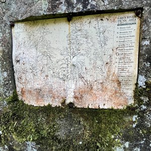 Grey River Picnic Area