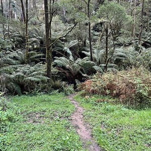 Grey River Picnic Area