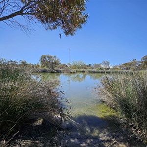 Pinnaroo Wetlands