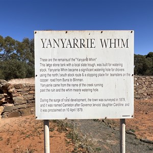 Yanyarrie Whim