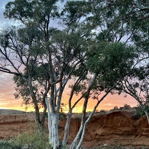 Native Well Creek Camp