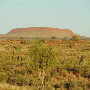 Mount Webb seen from a rise 6 km west