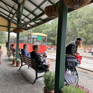 The Pemberton Tramway Co