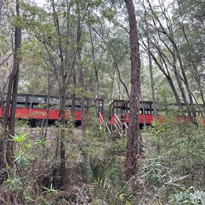 The Pemberton Tramway Co