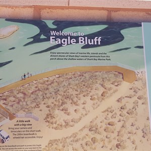 Eagle Bluff