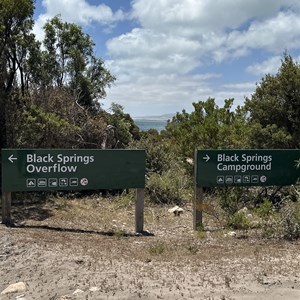 Black Springs Overflow Campground