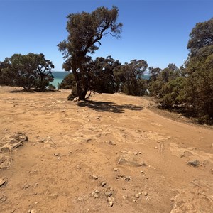 Black Springs Overflow Campground