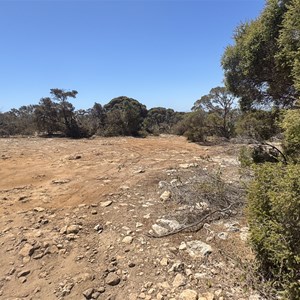 Black Springs Overflow Campground