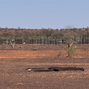 Dooley Downs