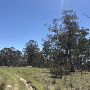 Cobbler Plateau alternate campsite