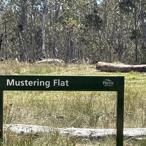 Mustering Flat - Actual