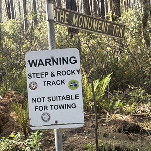 Information sign - Circuit Road Forest Drive