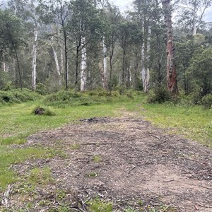 Pikes Flat Campground- Alternate