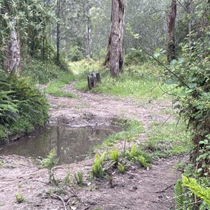 Pikes Flat Campground- Alternate