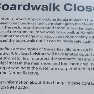 Hamelin Pool (Boardwalk Closed)