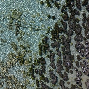 Hamelin Pool