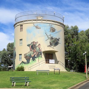 Gunnedah Watertower Art